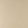 Tints 20523